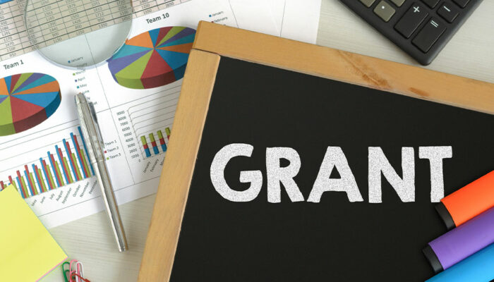 Government grants – What are they and who is eligible
