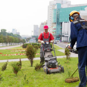 Electric or gas trimmers – Which is the best buy