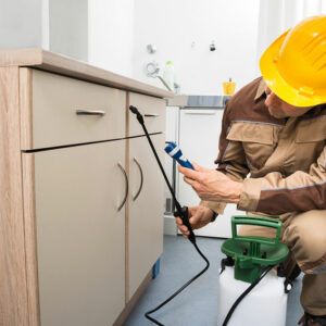 Pest Control Software – Benefits, Tips, and Top Brands